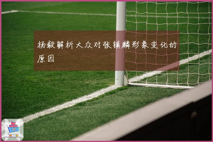 杨毅解析大众对张镇麟形象变化的原因